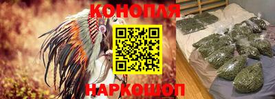 прущие грибы Тула