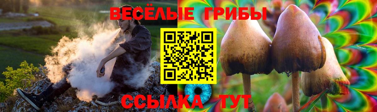 Псилоцибиновые грибы Cubensis  Вход с VPN  цены   Алатырь  Псилоцибиновые грибы MAGIC MUSHROOMS 